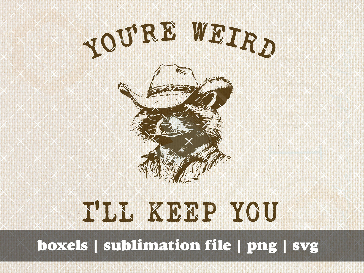 You're Weird I'll Keep You Funny Sarcastic Racoon Hand Drawn | Instant Download | PNG SVG
