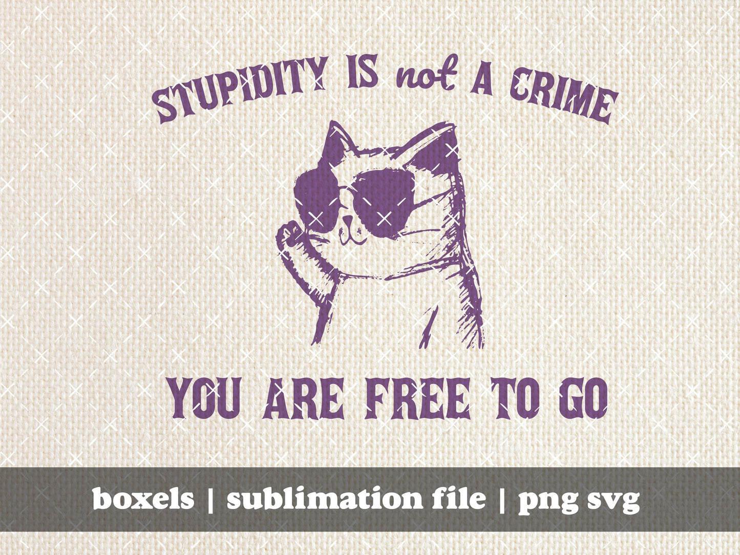 Stupidity Is Not A Crime You Are Free To Go Cat Funny Sarcastic Kitten Cat Vintage Animal Sayings | Instant Download | PNG SVG
