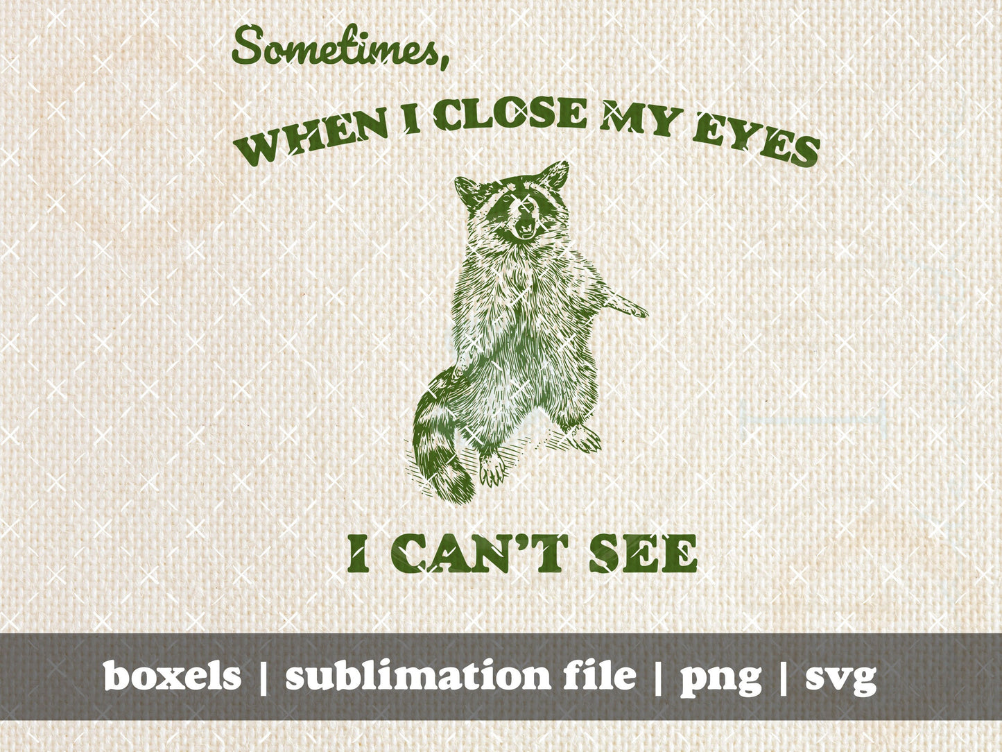Sometimes When I Close My Eyes I Can't See Funny Sarcastic Racoon Hand Drawn | Instant Download | PNG SVG