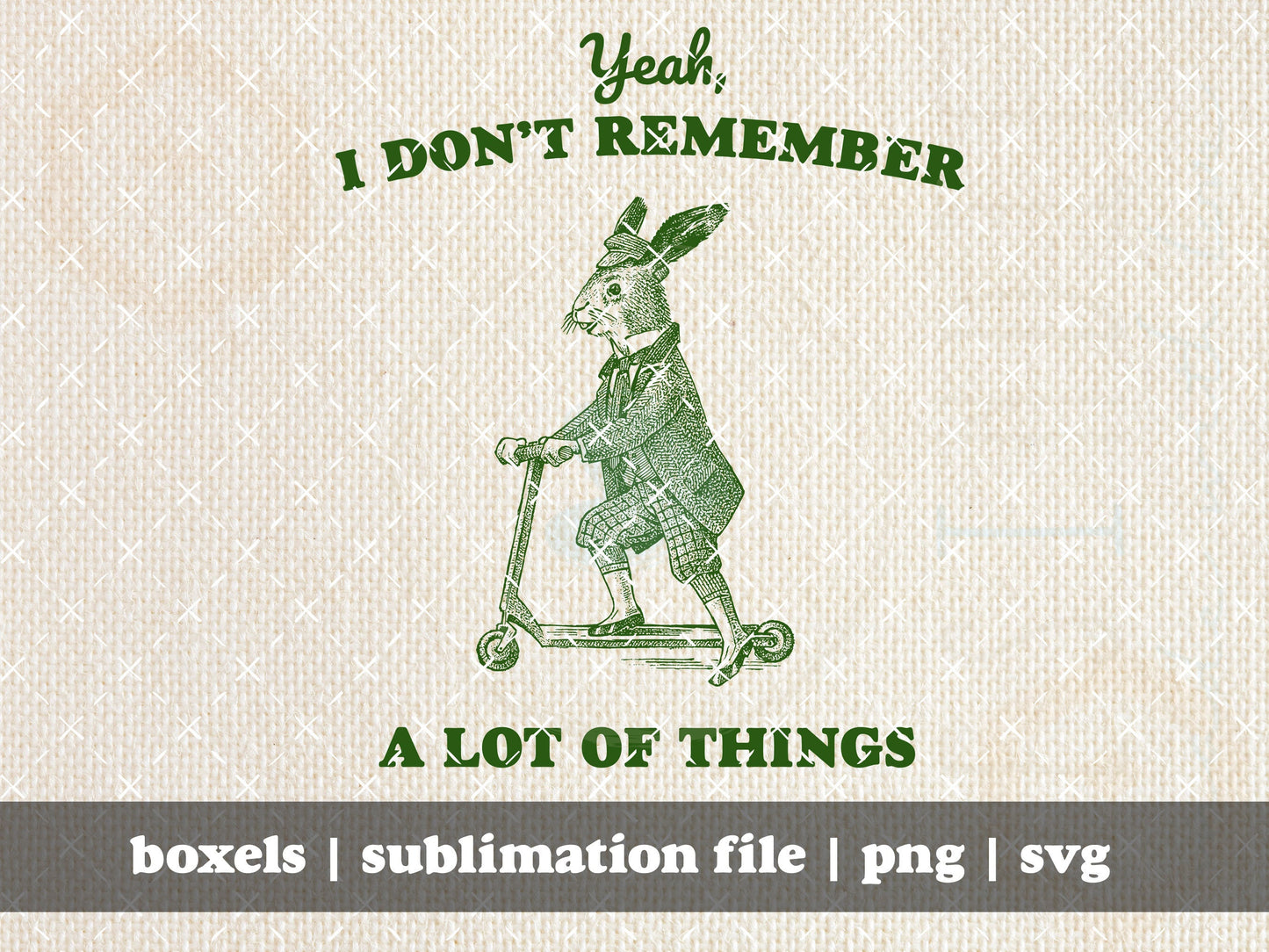 Yeah, I Don't Remember A Lot Of Things Funny Bunny Rabbit On Scooter Sarcastic Adulting Sayings Hand Drawn | Instant Download | PNG SVG
