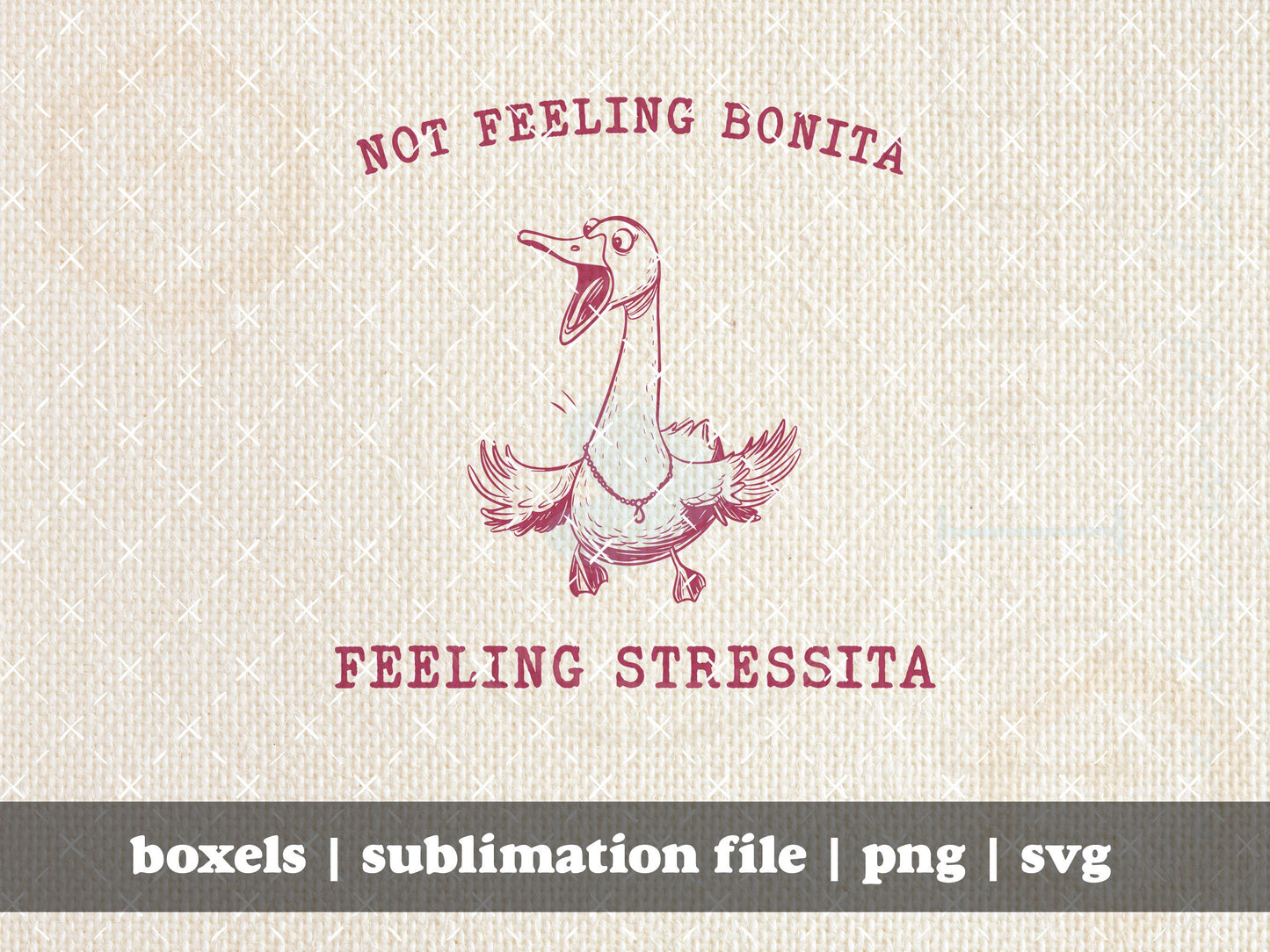 Not Feeling Bonita Feeling Stressita Funny Spanish Goose In My Silly Goose Era Funny Silly Goose | Instant Download | PNG SVG