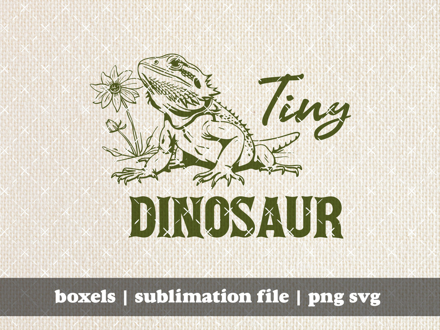 Tiny Dinosaur Bearded Dragon Lizard Gecko Desert Life Funny Vintage style Character Sayings | Instant Download | png svg