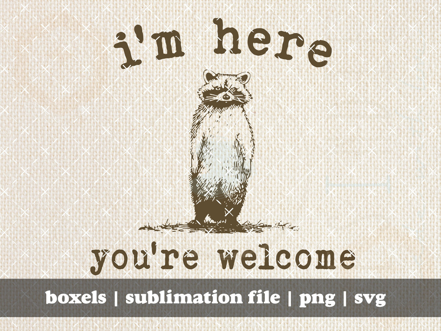 I'm Here You're Welcome Grumpy Raccoon Great Funny Sarcastic Racoon Hand Drawn | Instant Download | PNG SVG
