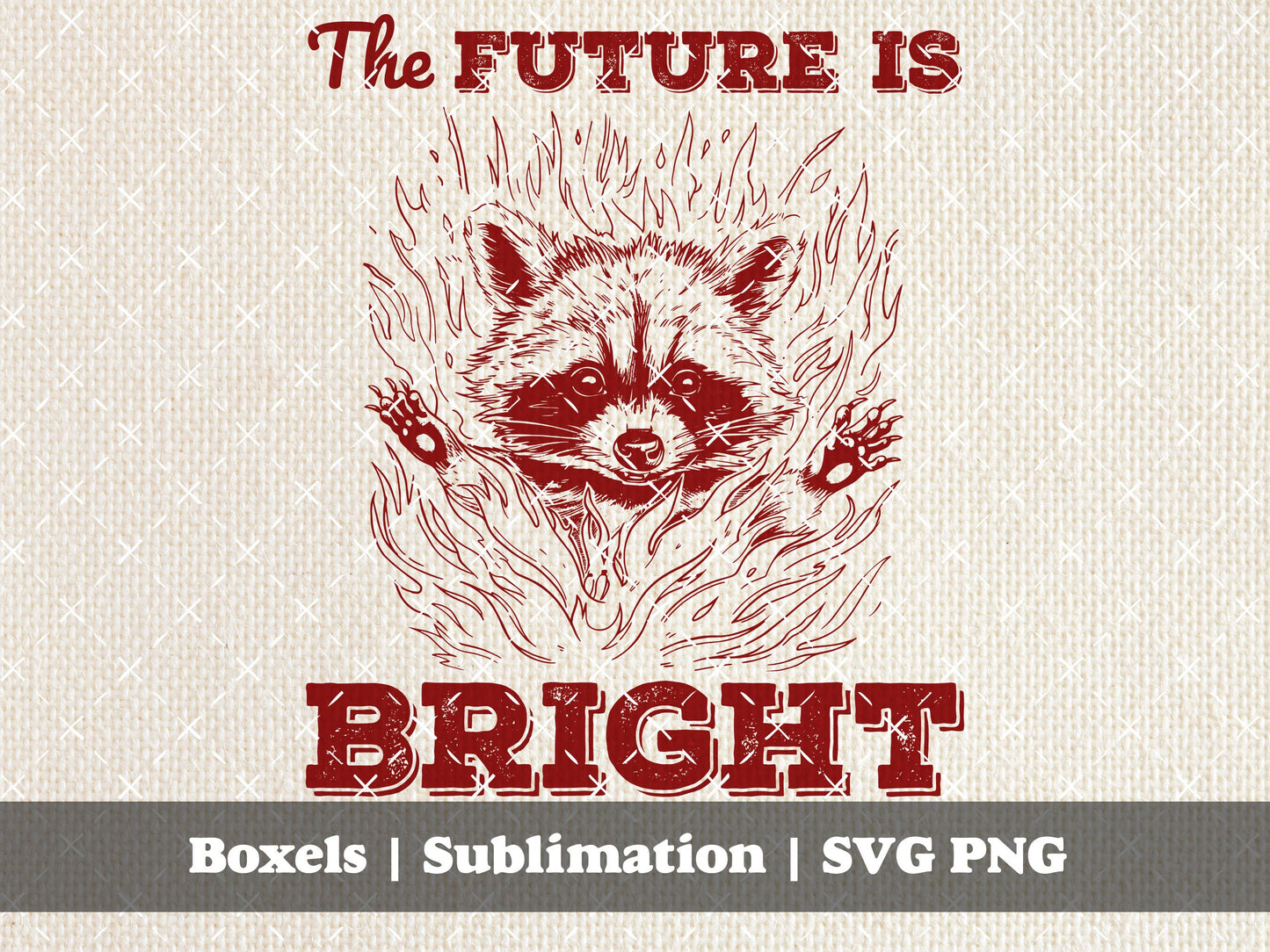 The Future is Bright Fire and Flames Funny Sarcastic Racoon Hand Drawn Vintage Animal Sayings | Instant Download | PNG SVG