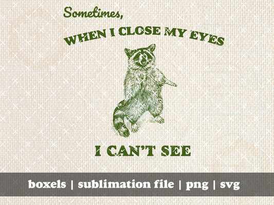 Sometimes When I Close My Eyes I Can't See Funny Sarcastic Racoon Hand Drawn | Instant Download |  PNG SVG