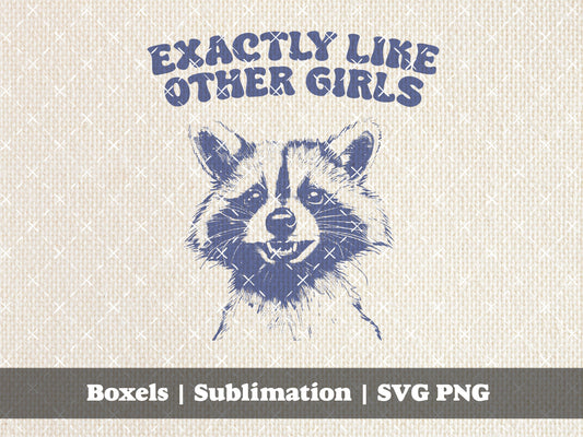 Exactly Like Other Girls Funny Raccoon Smiling Vintage Animal Quotes and Sayings Racoon Trash Panda Lovers | Instant Download | PNG SVG