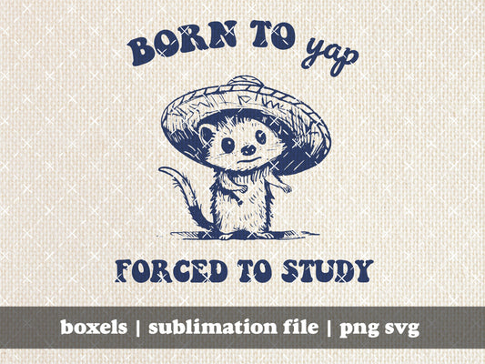 Born To Yap Forced To Study Funny Possum Funny Sombrero Oppossum in Vintage style Character Sayings | Instant Download |  png svg