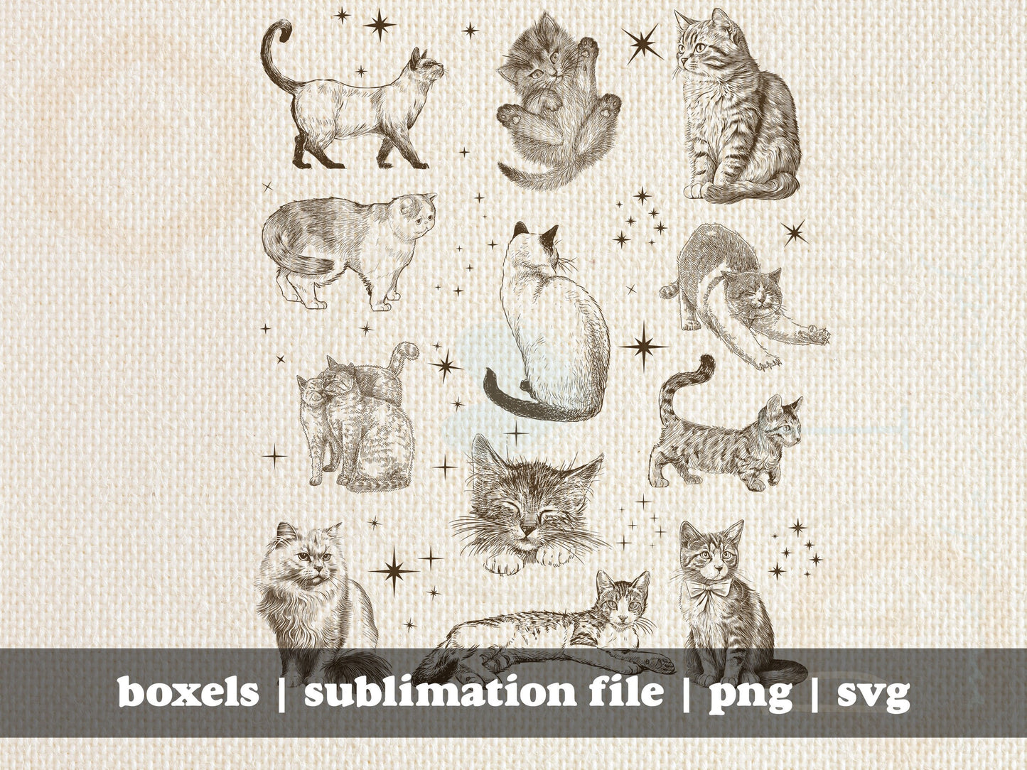 Magical Cats Vintage Hand Drawn Multiple Cat Kitten Breeds With Tarot Sparkles  | Instant Download | svg png