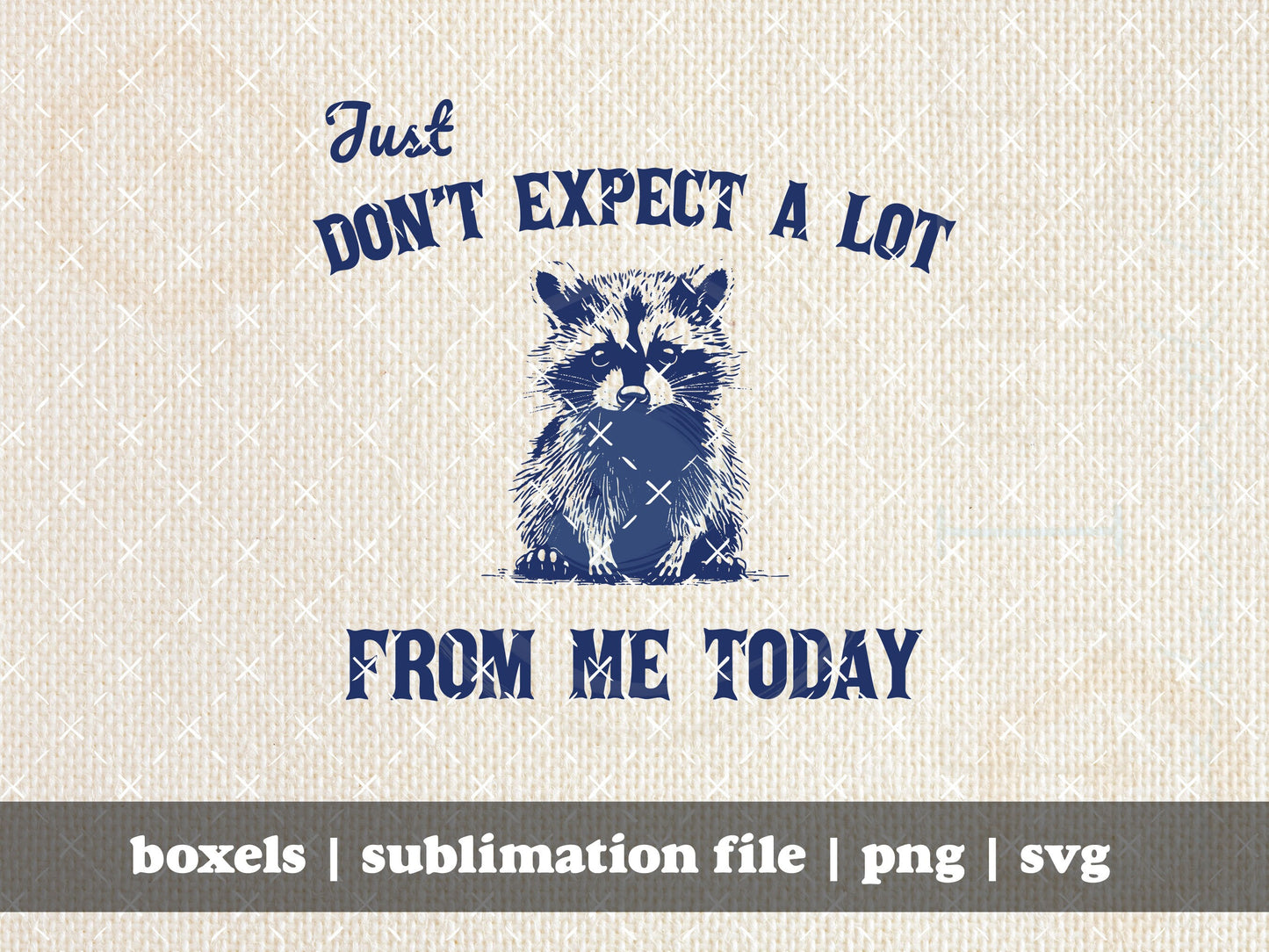 Just Don't Expect A Lot From Me Today Cute Trash Panda Be Kind Cute Sarcastic Racoon | Instant Download | PNG SVG